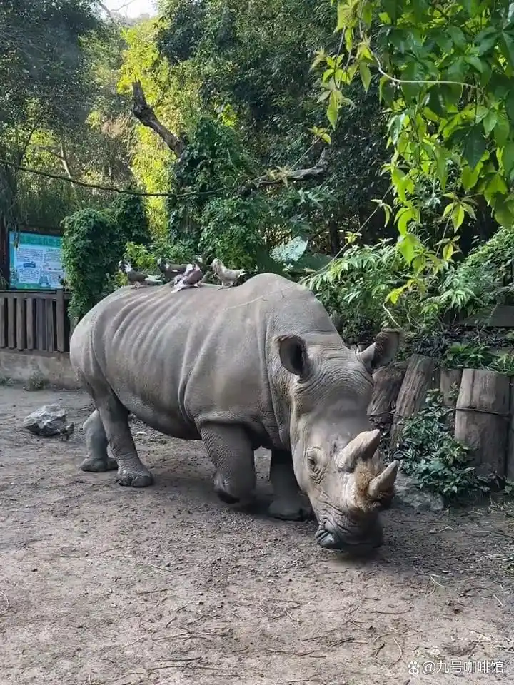 普洱旅游攻略_普洱必游景点_普洱市旅游攻略