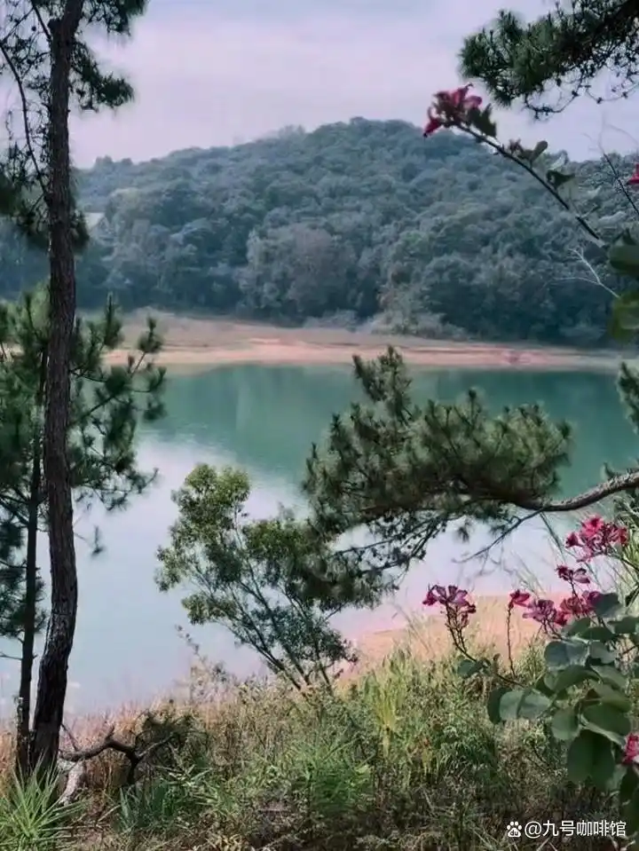 普洱市旅游攻略_普洱必游景点_普洱旅游攻略
