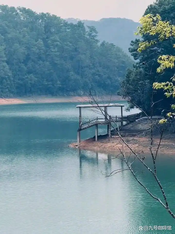 普洱必游景点_普洱旅游攻略_普洱市旅游攻略