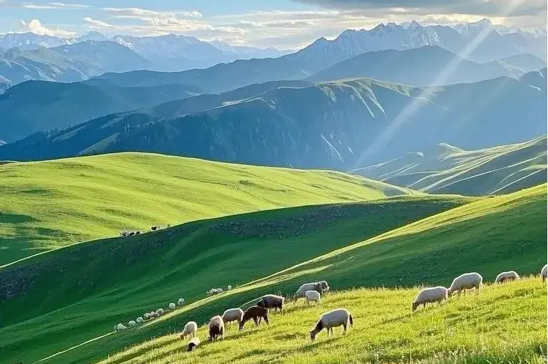 伊犁三天两夜游_伊犁草原旅游攻略_赛里木湖那拉提喀拉峻攻略