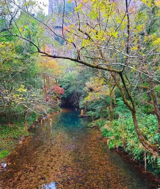 楠溪江千年古村_温州雁荡山秘境_雁荡山楠溪江旅游攻略
