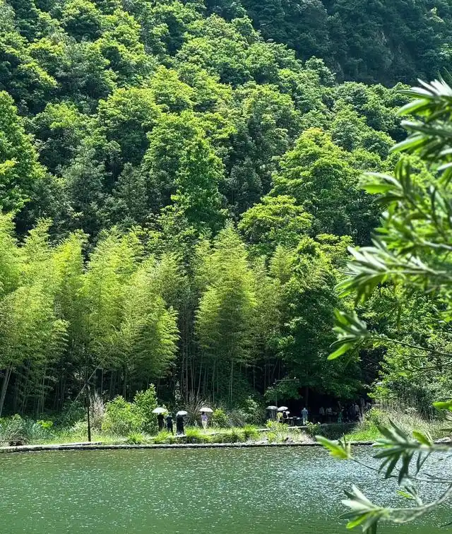 雁荡山楠溪江旅游攻略_楠溪江千年古村_温州雁荡山秘境
