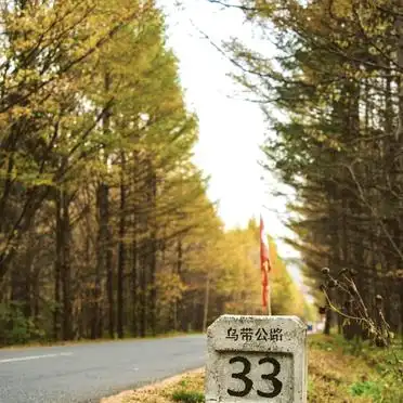 <strong>伊春8月旅游攻略</strong>_伊春7天6晚行程安排_8月伊春旅游攻略