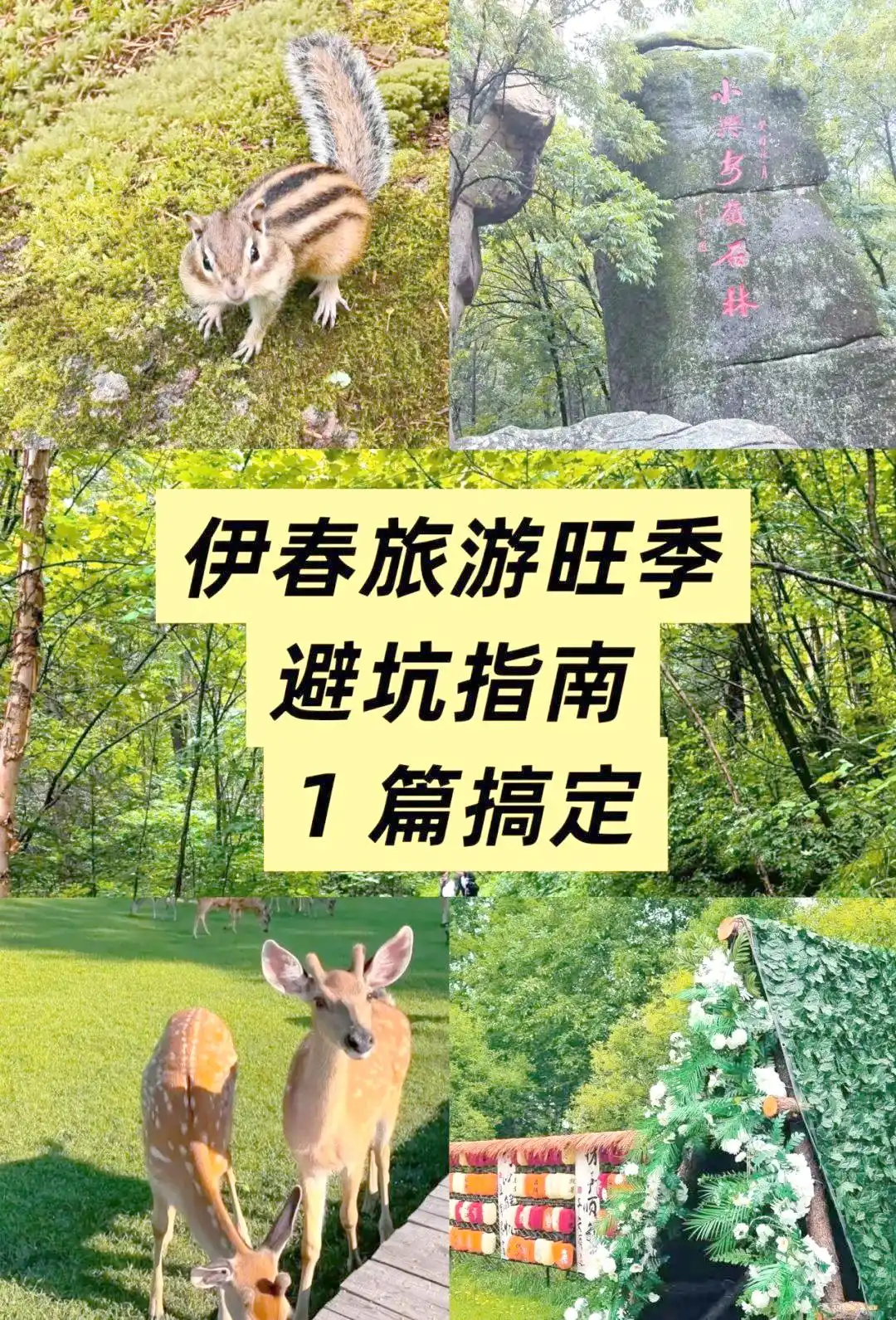 伊春漂流景点推荐_8月伊春旅游攻略_伊春夏季旅游攻略
