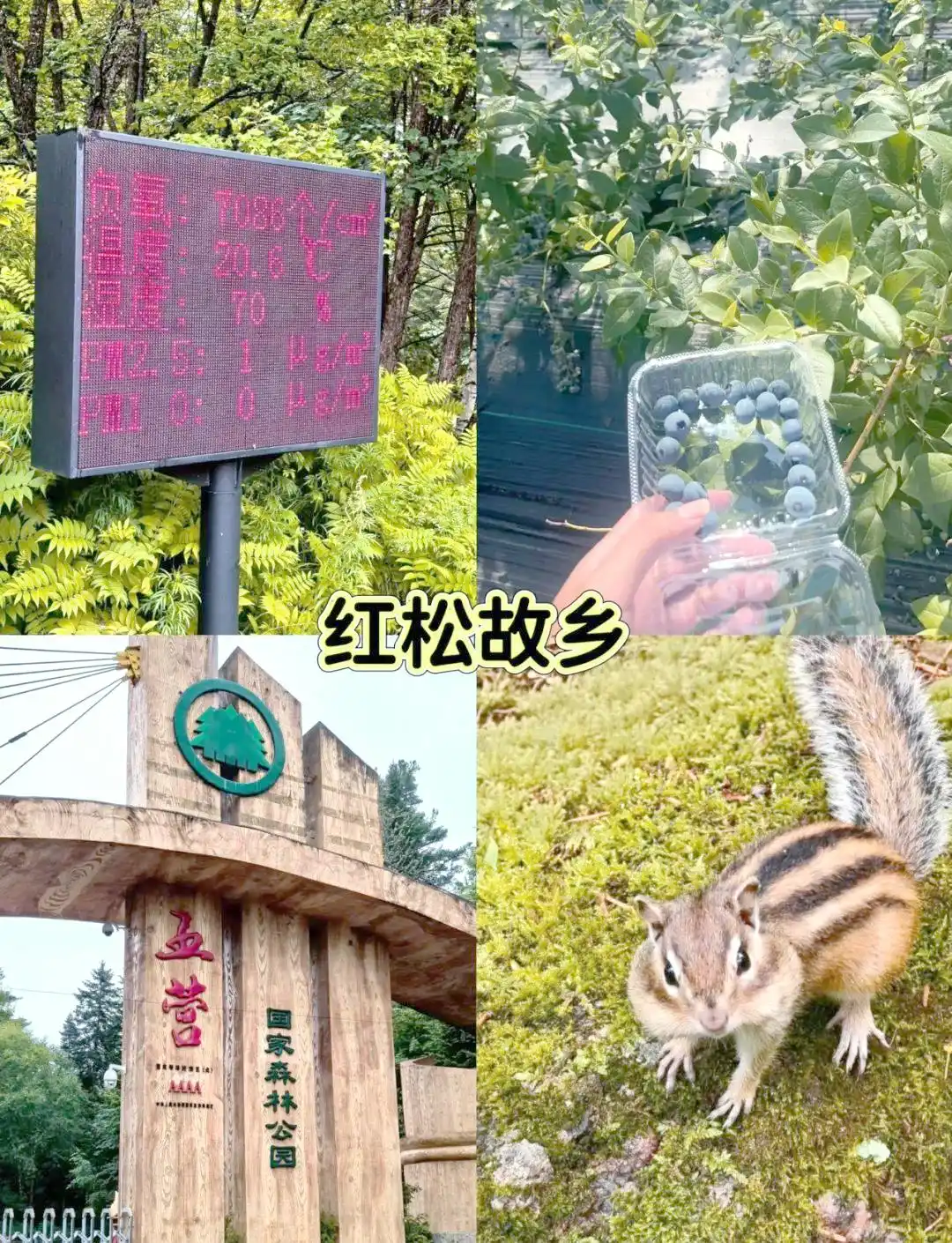 伊春漂流景点推荐_8月伊春旅游攻略_伊春夏季旅游攻略