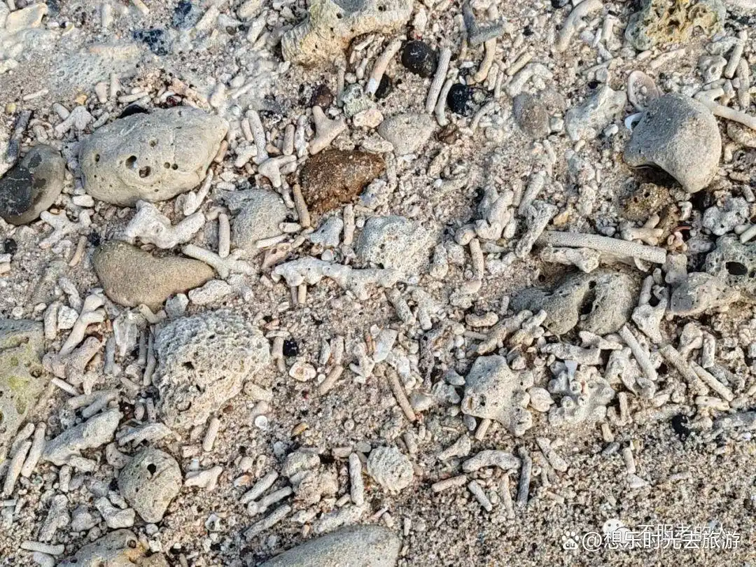 涠洲岛天主教堂参观指南_涠洲岛旅游攻略_2026涠洲岛旅游攻略