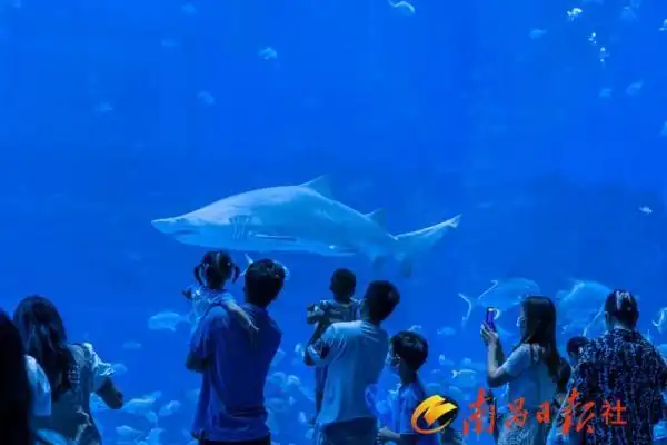 南昌五一旅游攻略_红谷滩五一活动_江西南昌市旅游攻略
