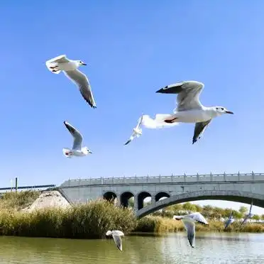 66号公路中卫游玩_银川到榆林旅游攻略_西安到银川自驾游攻略