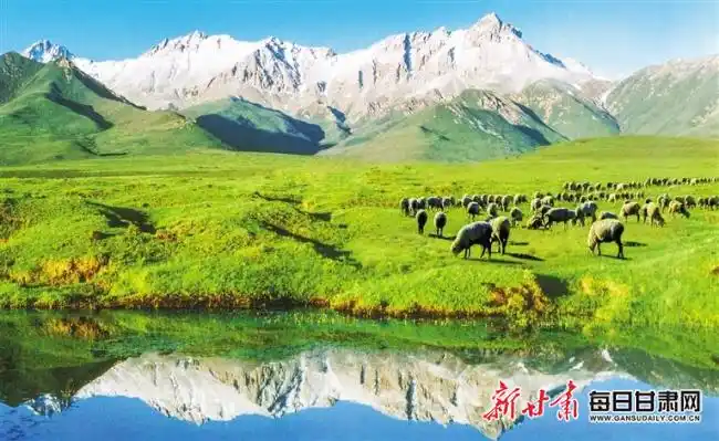 甘肃草原旅游攻略_桑科草原旅游路线_千坝草原旅游攻略