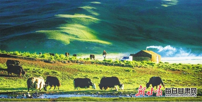 千坝草原旅游攻略_甘肃草原旅游攻略_桑科草原旅游路线