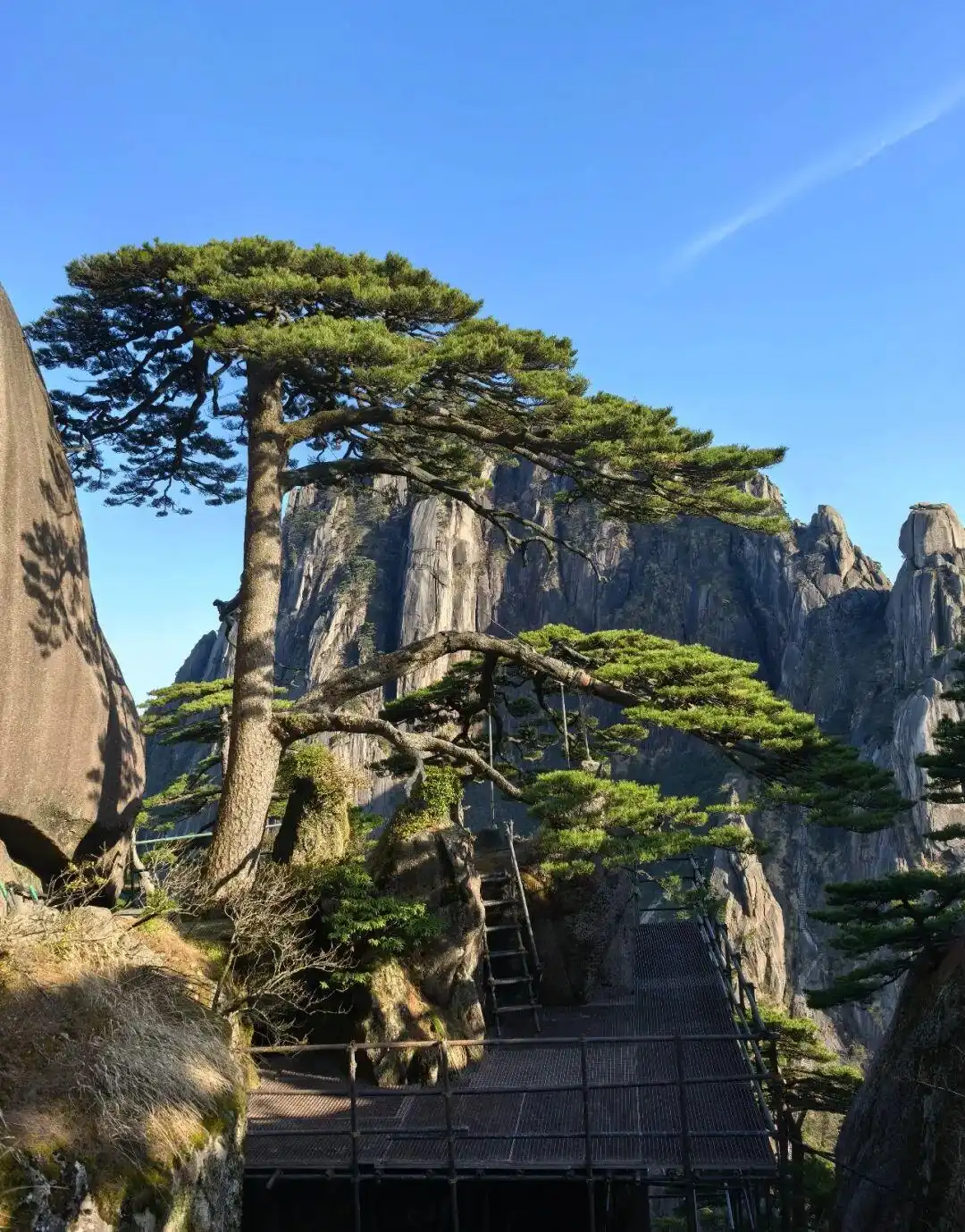 上海到安徽黄山2日旅游攻略_黄山最佳旅行时间_黄山旅游攻略