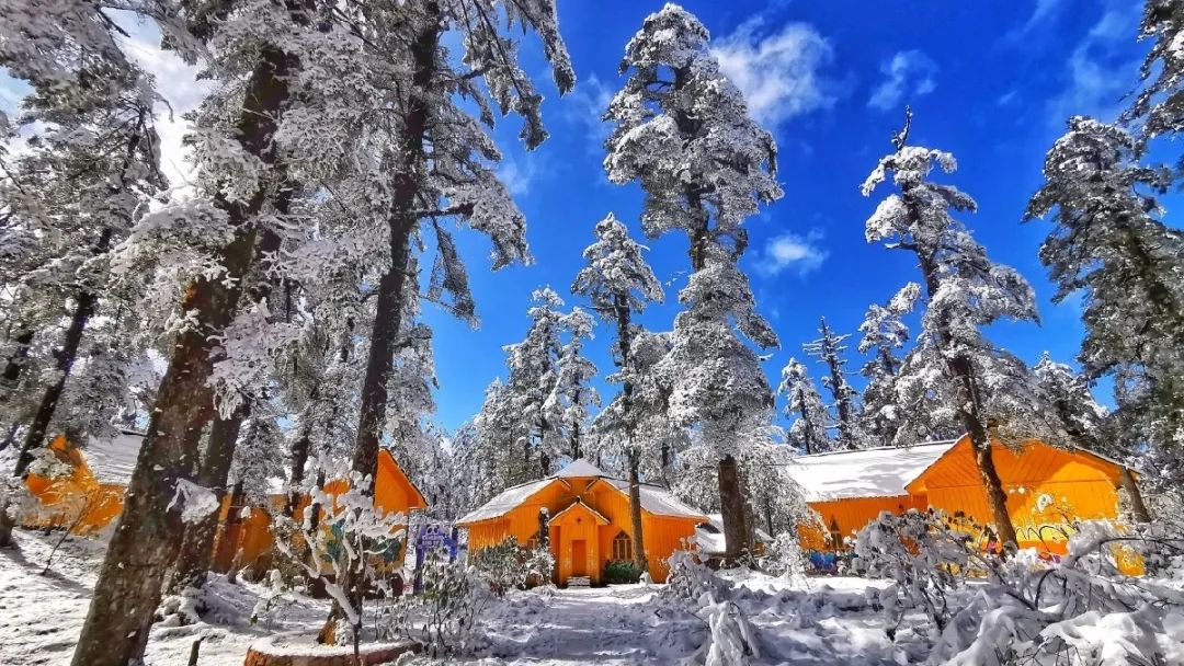 瓦屋山冰雪旅游节_瓦屋山赏雪攻略_瓦屋山旅游攻略2026