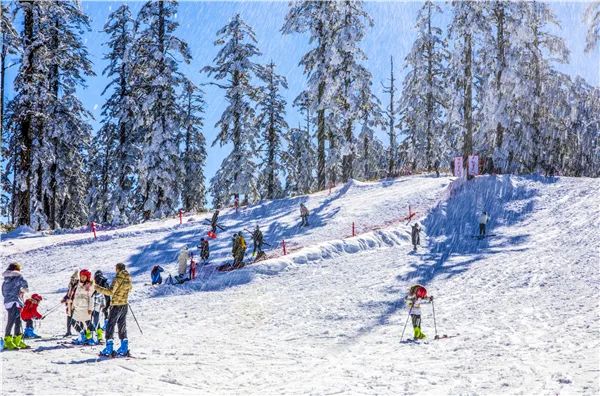 瓦屋山旅游攻略2026_瓦屋山冰雪旅游节_瓦屋山赏雪攻略