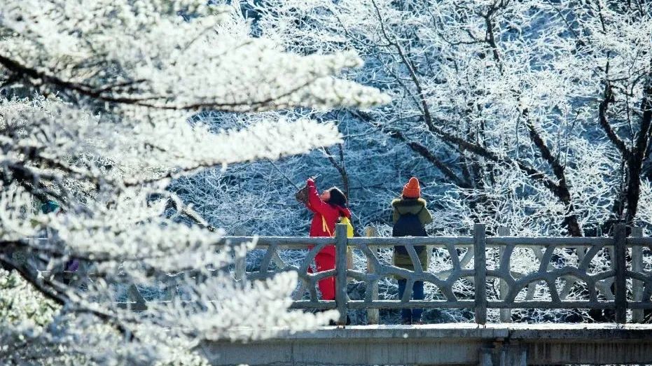 瓦屋山冰雪旅游节_瓦屋山旅游攻略2026_瓦屋山赏雪攻略