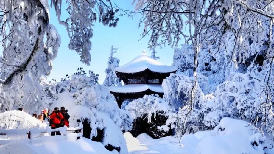 瓦屋山旅游攻略2026_瓦屋山赏雪攻略_瓦屋山冰雪旅游节