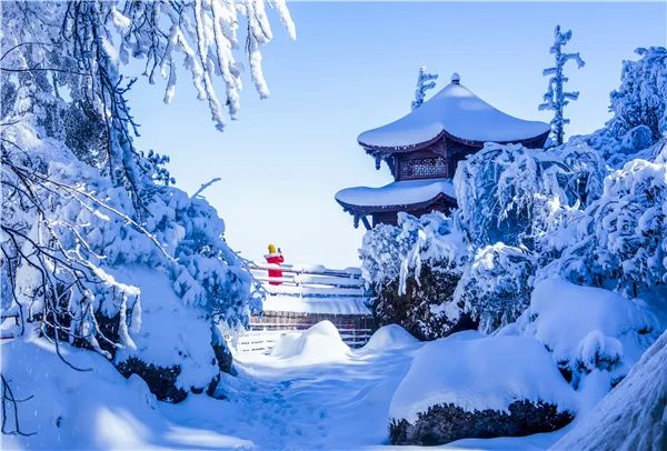瓦屋山旅游攻略2026_瓦屋山赏雪攻略_瓦屋山冰雪旅游节