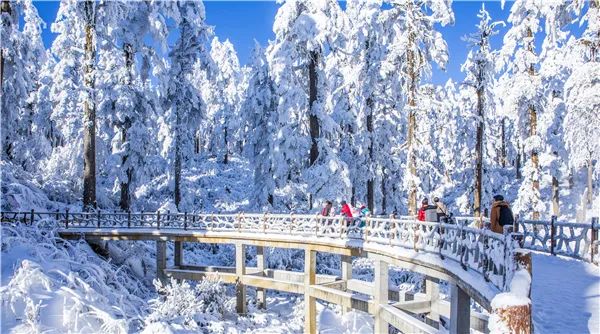 瓦屋山赏雪攻略_瓦屋山冰雪旅游节_瓦屋山旅游攻略2026