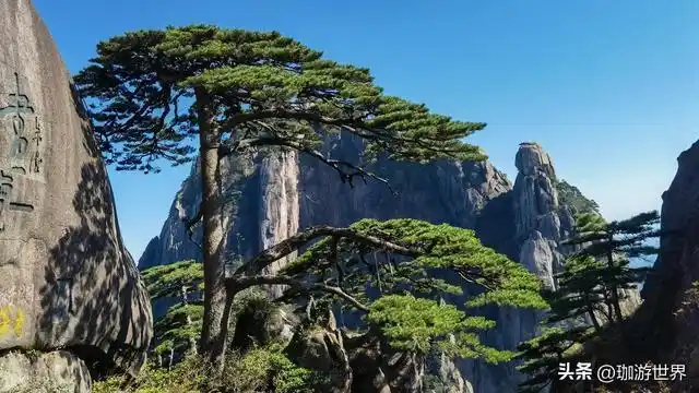 合肥出发黄山宏村自驾攻略_黄山宏村2日游行程规划_上海到安徽黄山2日旅游攻略