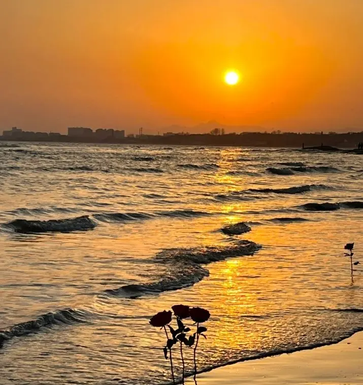 承德坝上旅游攻略_承德坝上草原旅游线路_北戴河海边园林草原旅游
