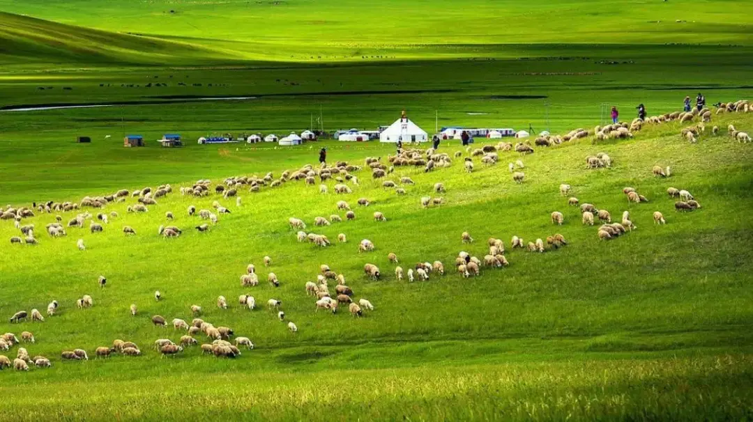 内蒙额济纳旗旅游攻略地图_内蒙古旅游攻略_内蒙古特色美食介绍