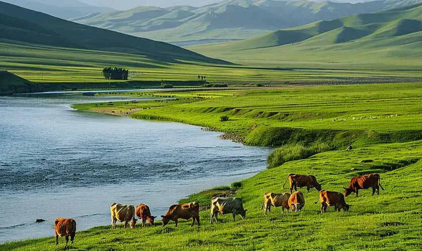 内蒙古旅游攻略_内蒙额济纳旗旅游攻略地图_内蒙古特色美食介绍