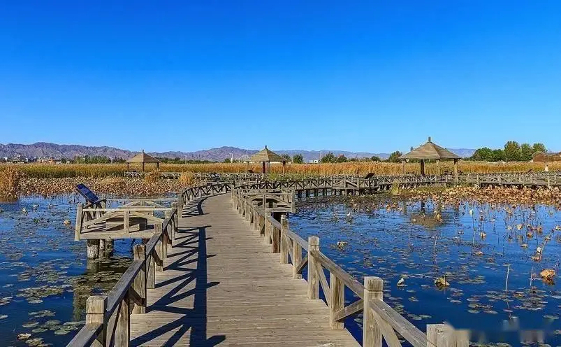 呼和浩特十大必玩景点_呼和浩特旅游攻略_内蒙古博物院