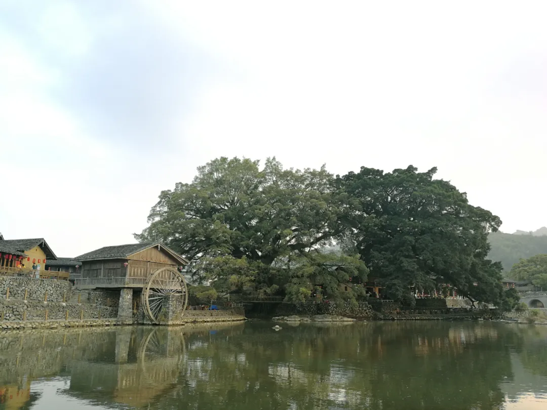 中秋国庆福建土楼最全旅游攻略，田螺坑or云水谣？