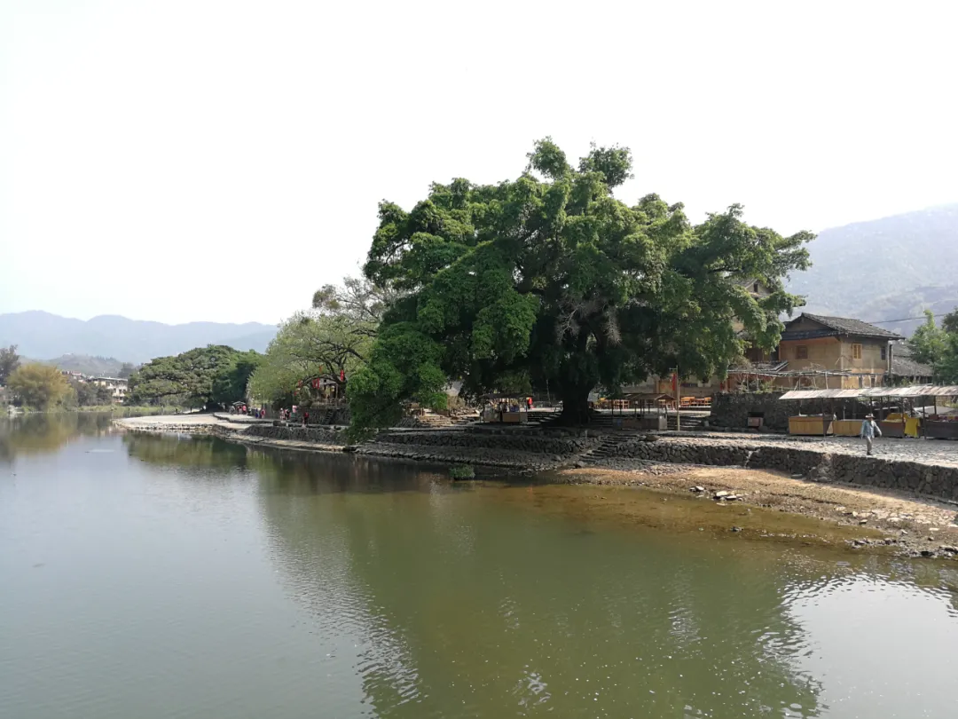 中秋国庆福建土楼最全旅游攻略，田螺坑or云水谣？