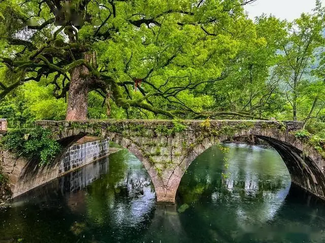 黄山和宏村旅游攻略_宏村徽派建筑牛型水系_黄山奇松怪石云海温泉冬雪