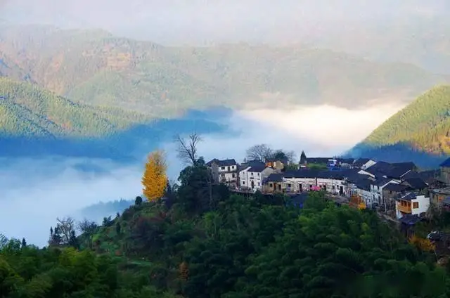 黄山和宏村旅游攻略_宏村徽派建筑牛型水系_黄山奇松怪石云海温泉冬雪