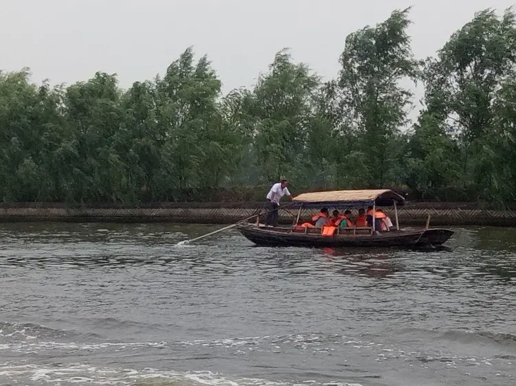 从北京到白洋淀旅游攻略_白洋淀荷花大观园一日游_北京到白洋淀一日游