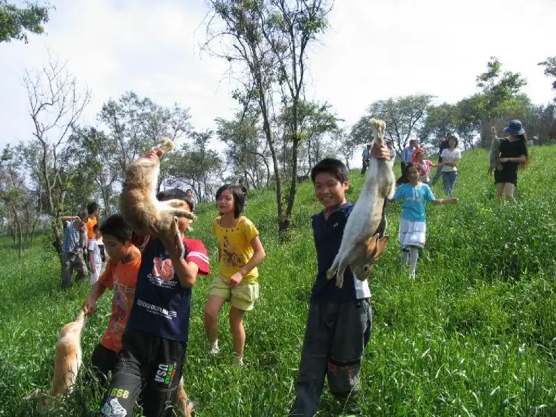 北川大禹故里羌城旅游攻略_北川药王谷旅游攻略_北川羌族自治县旅游线路