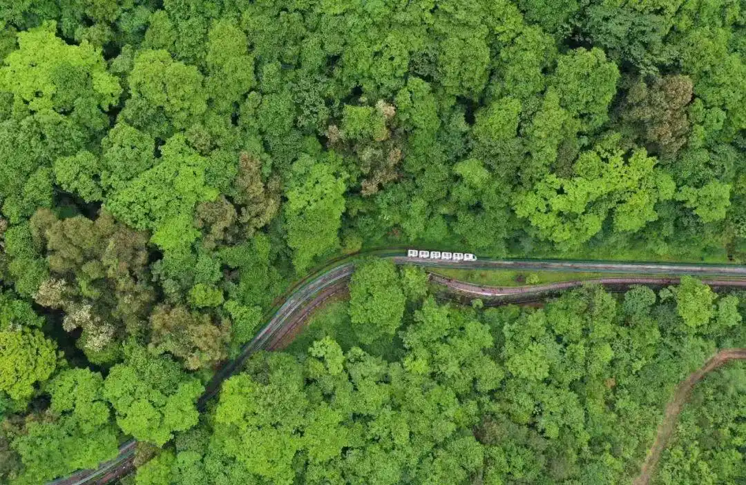 武陵源旅游邵阳攻略_武陵源景区自驾游线路推荐_张家界世界地质公园自驾游攻略