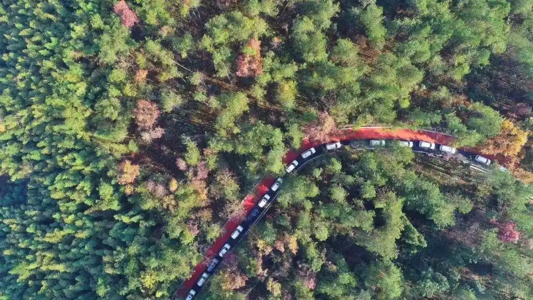 武陵源旅游邵阳攻略_张家界世界地质公园自驾游攻略_武陵源景区自驾游线路推荐