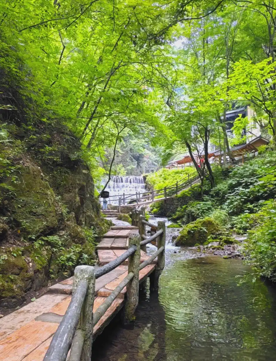 重渡沟旅游攻略_重渡沟观光车服务_重渡沟自驾游
