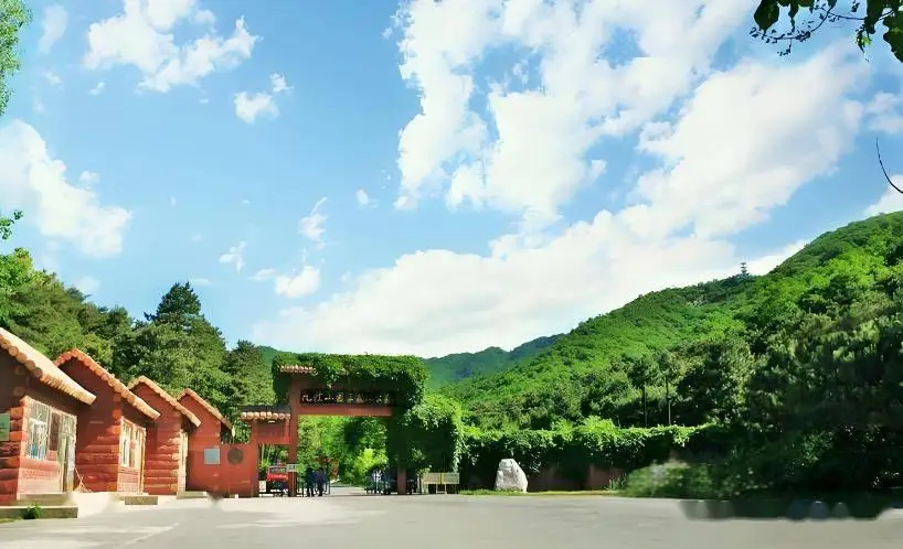 嘉兴美食攻略_嘉兴本地人景点推荐_嘉兴九龙山旅游攻略