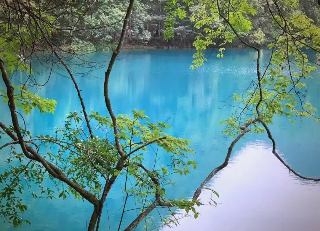 荔波避暑旅游指南_荔波旅游攻略图片_荔波旅游攻略