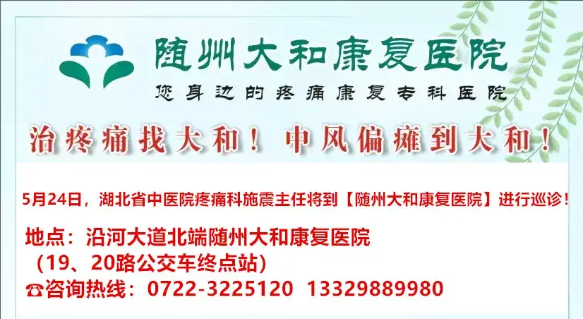 随州大洪山风景区中国森林氧吧_随州大洪山旅游攻略_随州大洪山风景区国家级风景名胜区