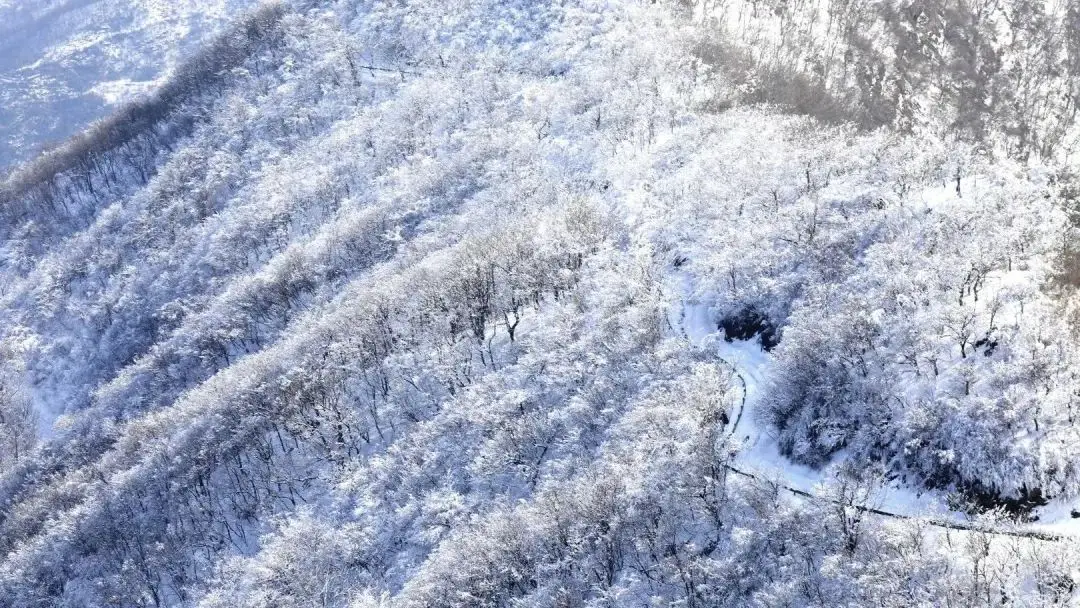 随州大洪山风景区国家级风景名胜区_随州大洪山风景区中国森林氧吧_随州大洪山旅游攻略