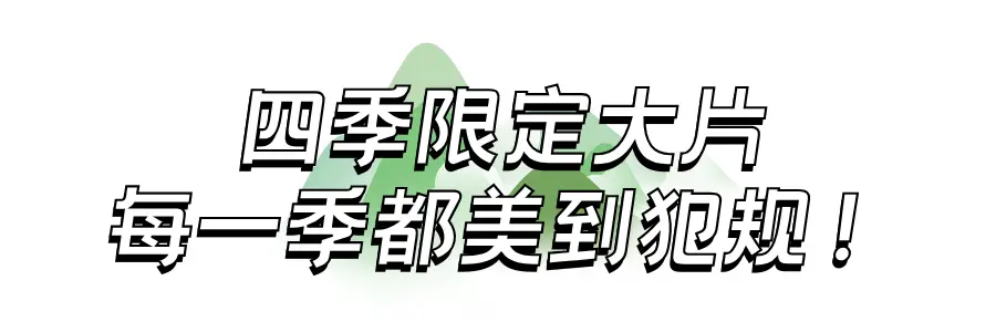 随州大洪山风景区中国森林氧吧_随州大洪山风景区国家级风景名胜区_随州大洪山旅游攻略