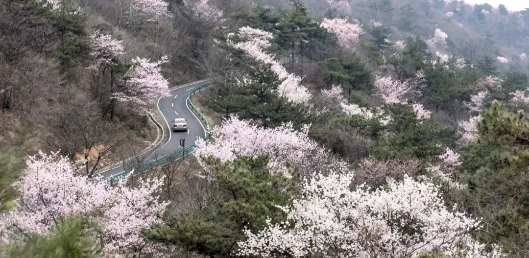 随州大洪山旅游攻略_随州大洪山风景区国家级风景名胜区_随州大洪山风景区中国森林氧吧