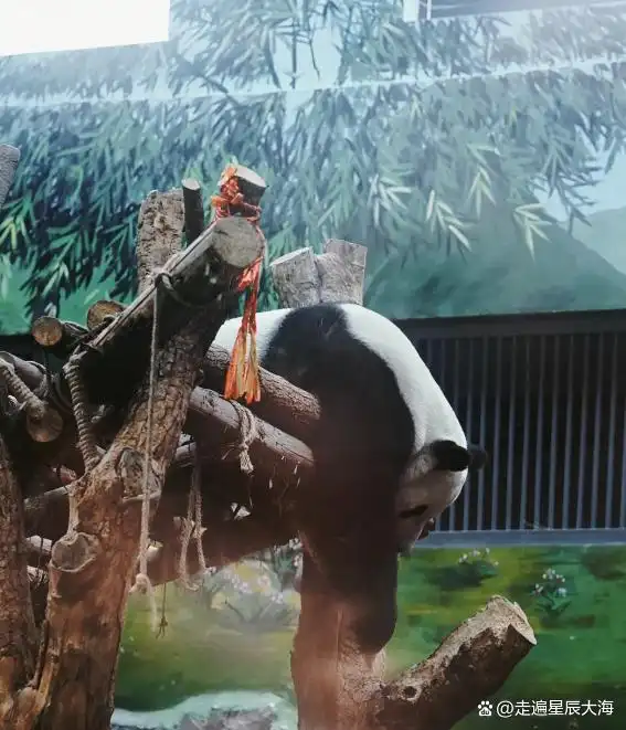 荔波旅游攻略图片_贵州景点介绍_贵州旅游攻略