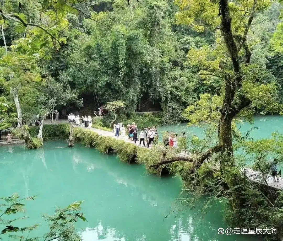 贵州景点介绍_荔波旅游攻略图片_贵州旅游攻略