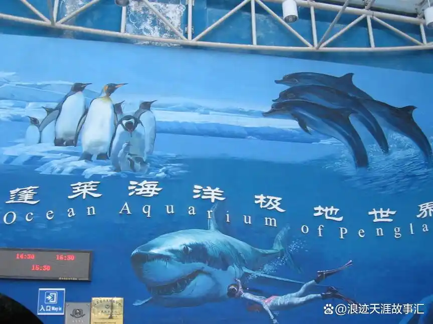 蓬莱旅游攻略 必玩的景点_蓬莱阁旅游攻略_蓬莱阁门票交通信息