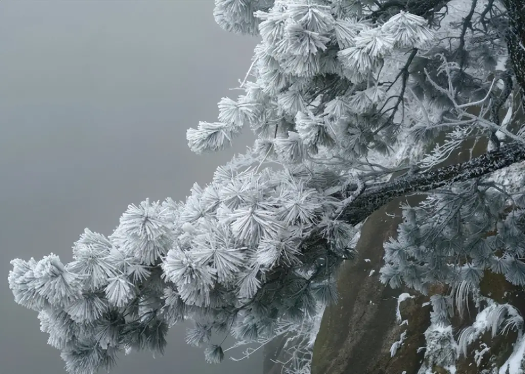 天柱山天气旅游攻略_天柱山元旦降雪绝美景观解读_雾凇拍照封神技巧