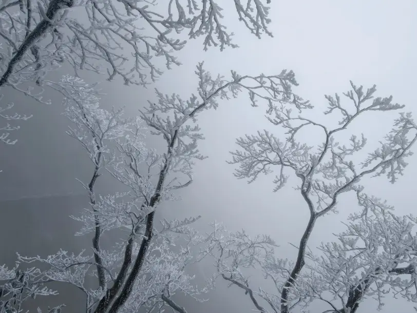 天柱山天气旅游攻略_天柱山元旦降雪绝美景观解读_雾凇拍照封神技巧