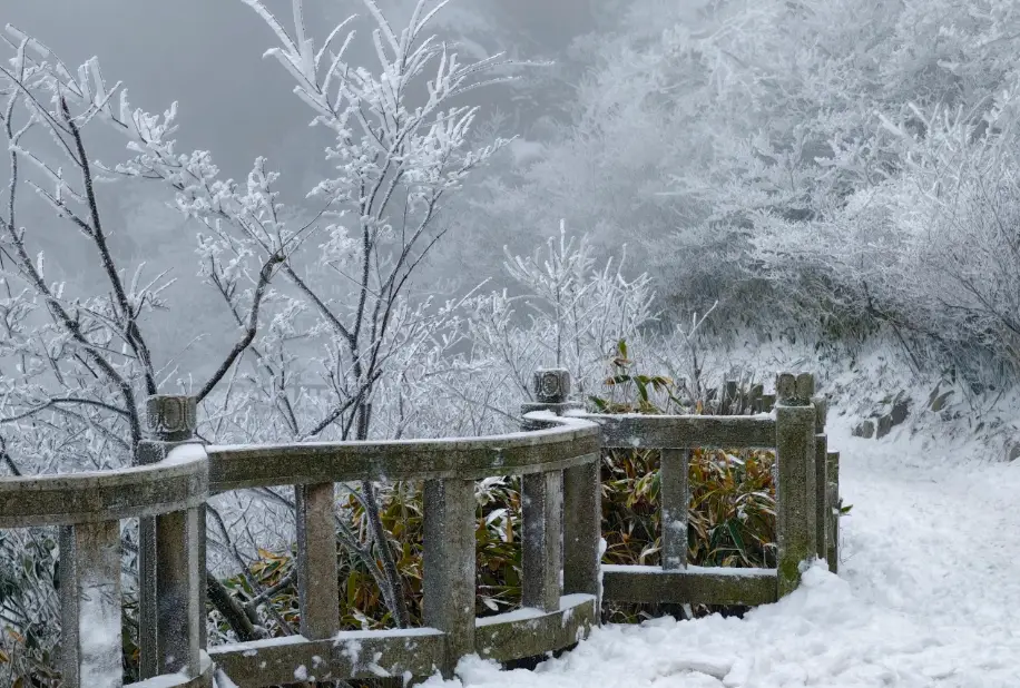 天柱山元旦降雪绝美景观解读_天柱山天气旅游攻略_雾凇拍照封神技巧