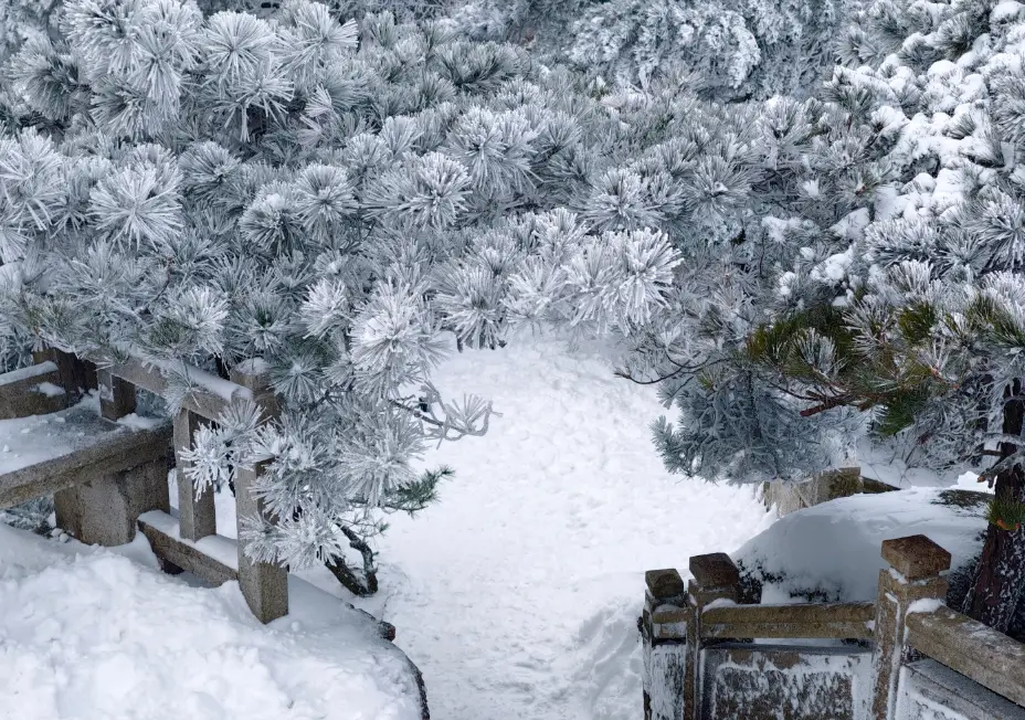 天柱山元旦降雪绝美景观解读_天柱山天气旅游攻略_雾凇拍照封神技巧