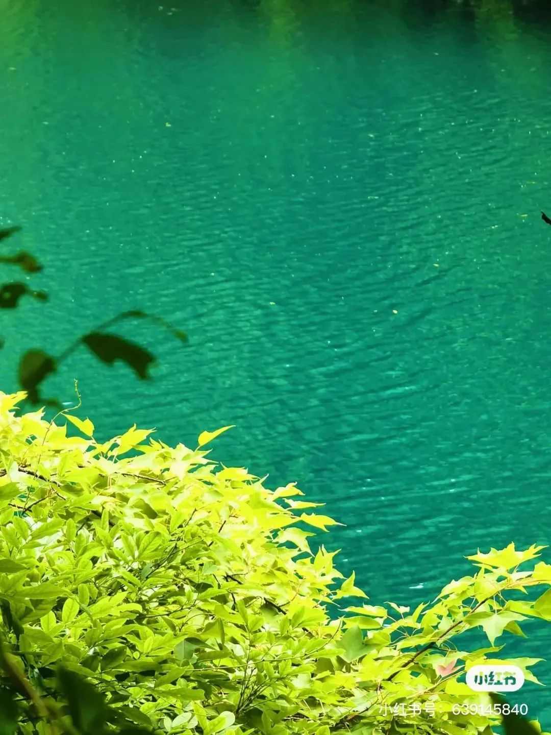 旅游攻略绍兴_绍兴特色景点_绍兴旅游攻略