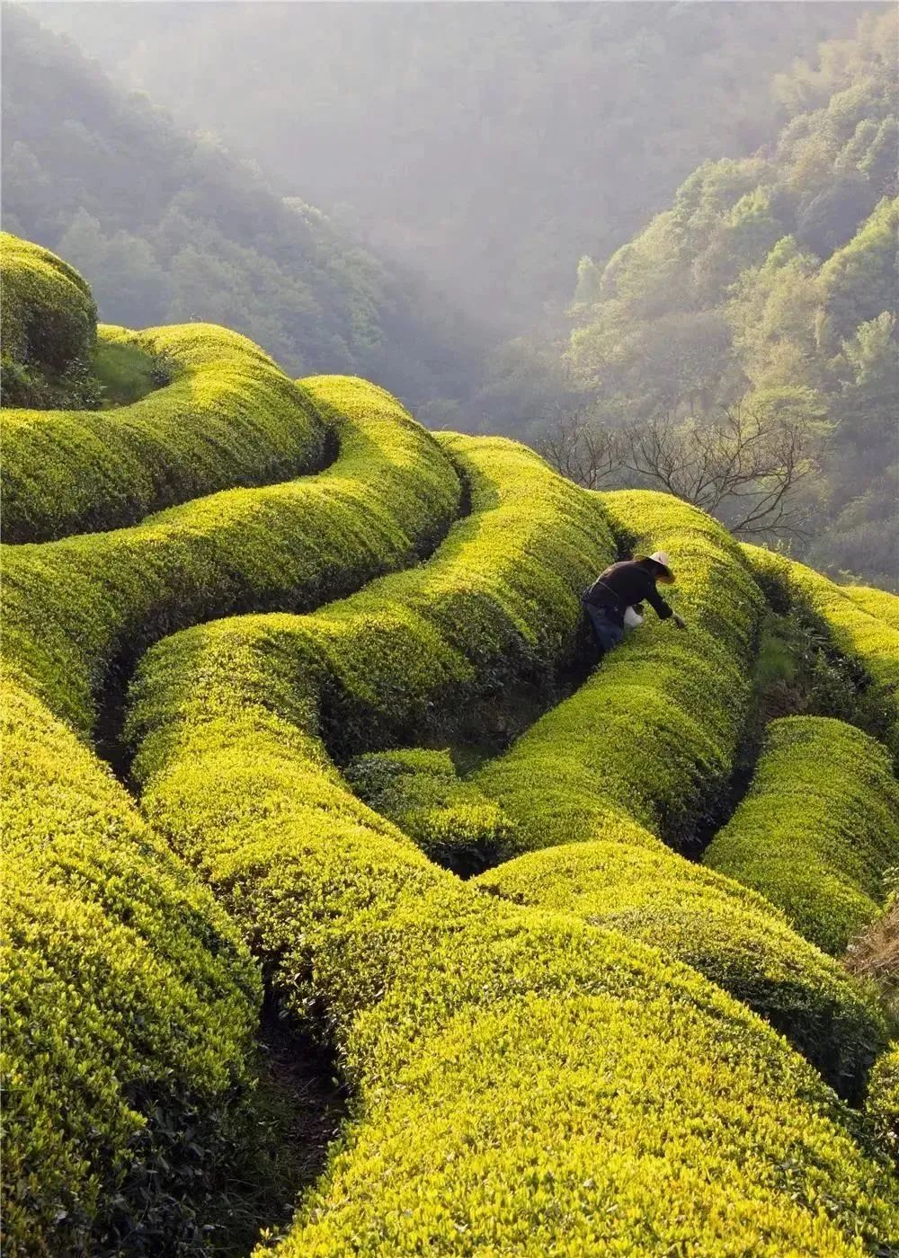 绍兴特色景点_绍兴旅游攻略_旅游攻略绍兴